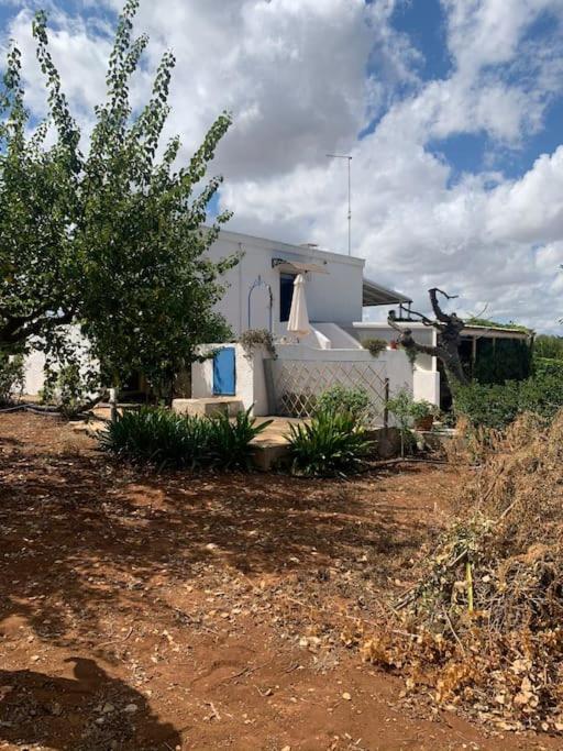 Al Pepe Nero - Casa In Campagna A Soli 5 Minuti Dal Mare ポリニャーノ・ア・マーレ エクステリア 写真