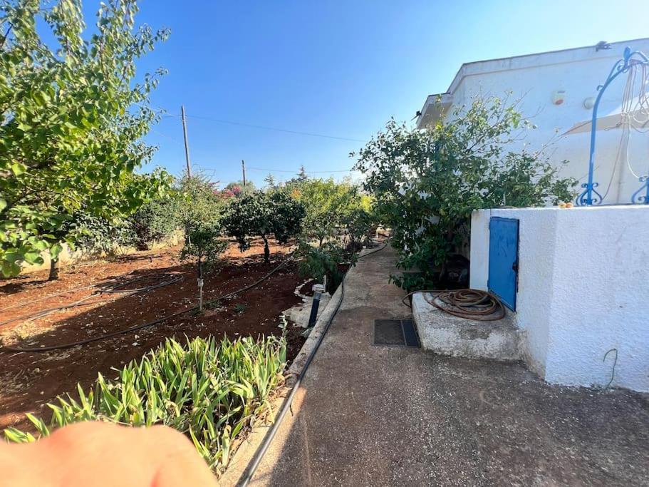 Al Pepe Nero - Casa In Campagna A Soli 5 Minuti Dal Mare ポリニャーノ・ア・マーレ エクステリア 写真